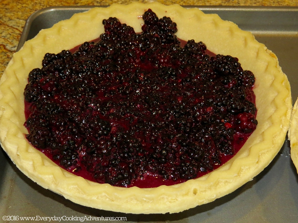 Marilyn Batali's Blackberry Pie Â©EverydayCookingAdventures2016